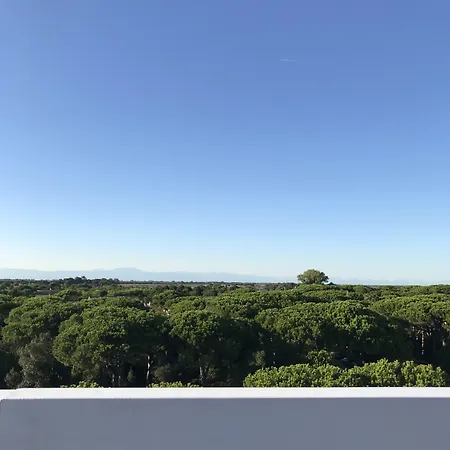 Hotel Harvey & 4*