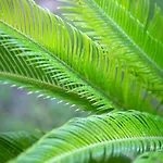 Harvey & فندق 4*