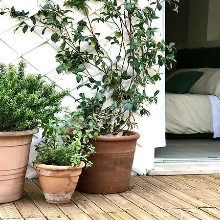 Aparthotelharvey 4*