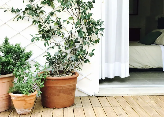 מלון Harvey & 4*