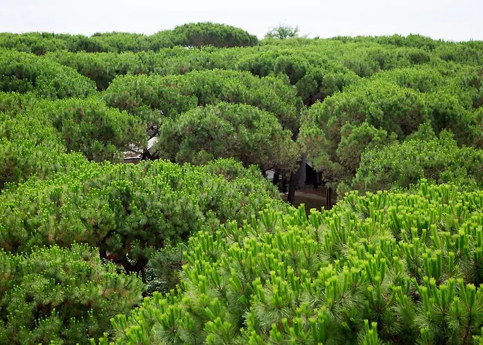 Aparthotelharvey Hotel 4*